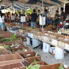 coconutgrovemarket1.jpg